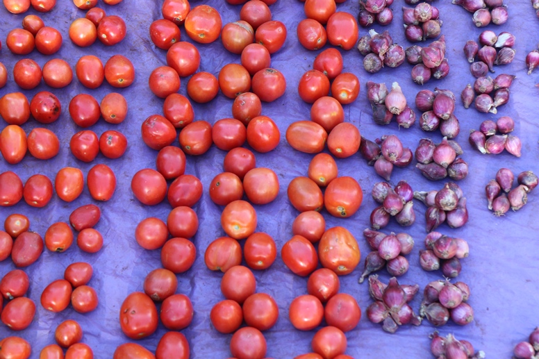 onions and tomatoes